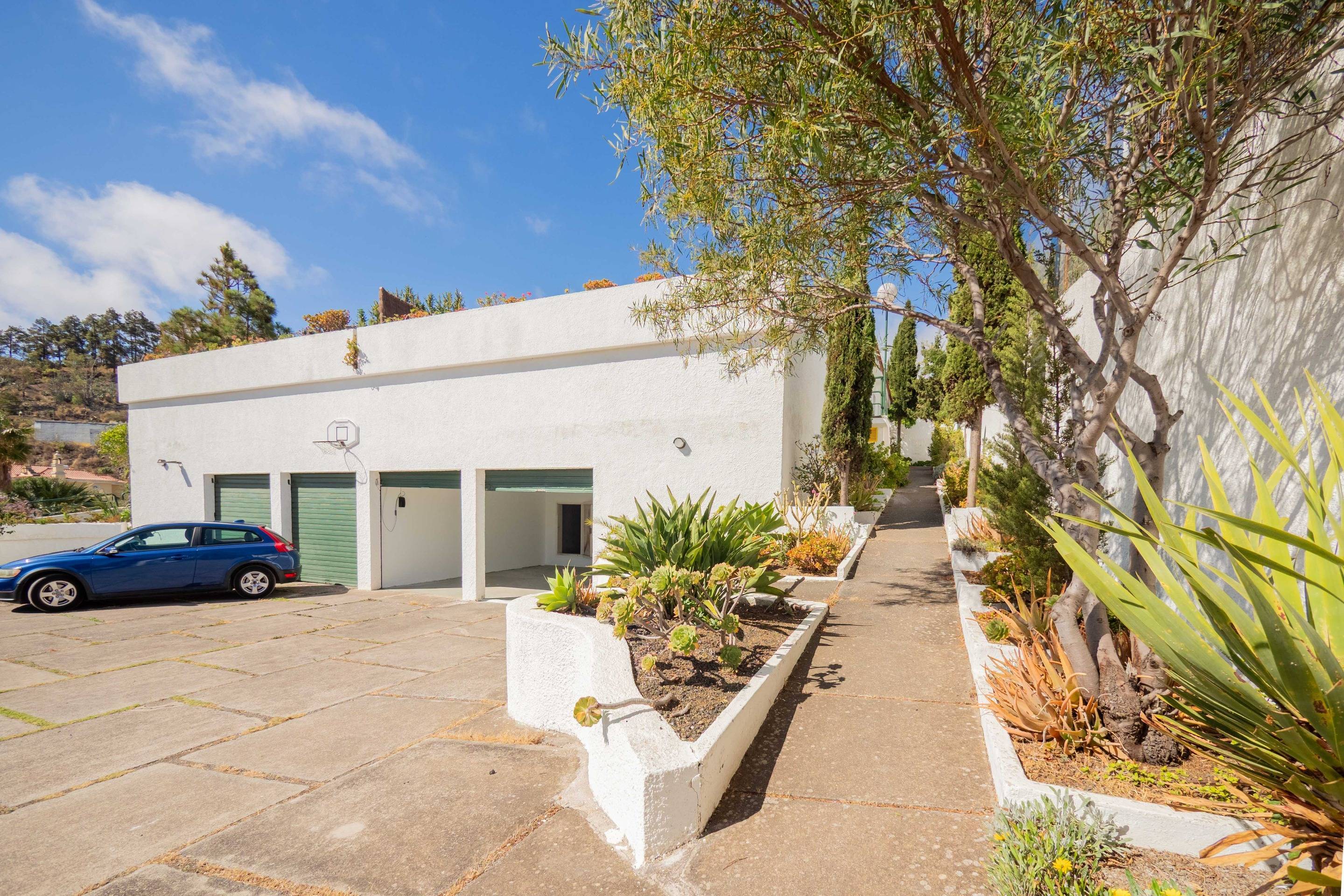Casas o chalets-Alquiler-Santa BrÃ­gida-1768121-Foto-21
