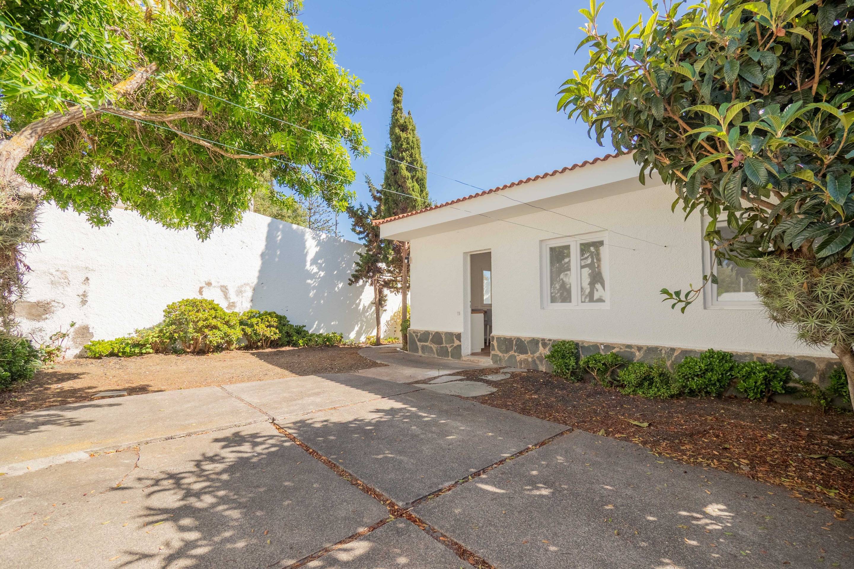 Casas o chalets-Alquiler-Santa BrÃ­gida-1768121-Foto-25