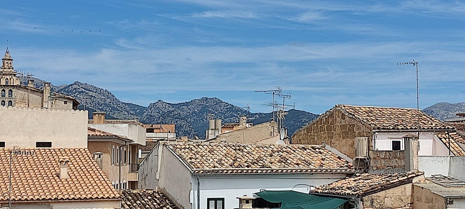 Casas o chalets-Venta-Inca-1762814-Foto-20