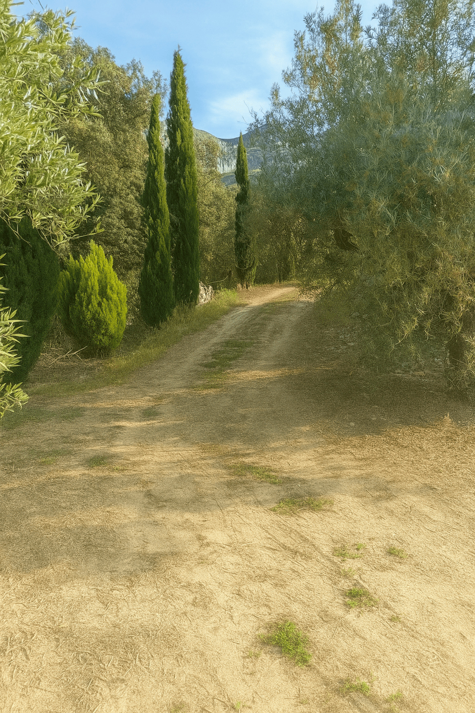 Casas o chalets-Venta-Vall de Gallinera-1749292-Foto-8