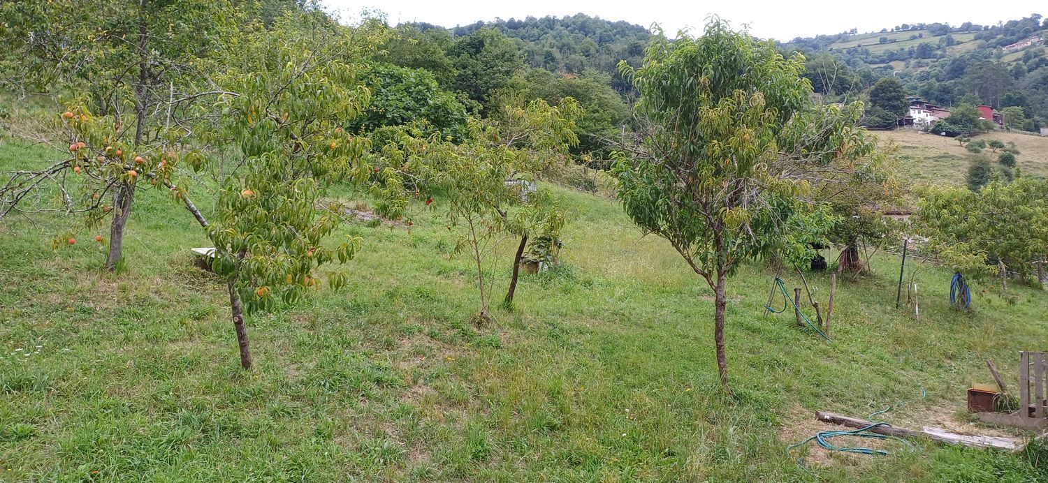 Casas o chalets-Venta-San MartÃ­n del Rey Aurelio-1828997-Foto-23