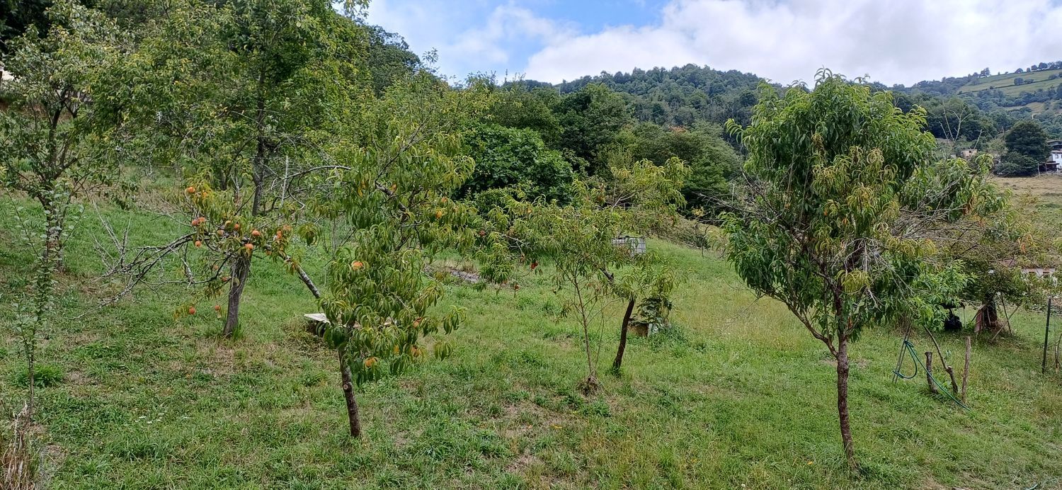 Casas o chalets-Venta-San MartÃ­n del Rey Aurelio-1828997-Foto-22