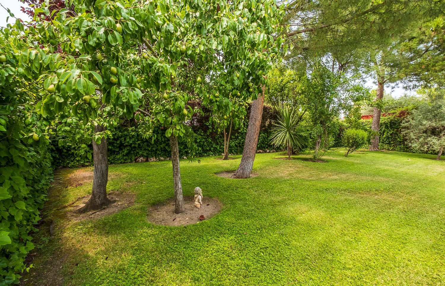 Casas o chalets-Venta-Boadilla del Monte-1764788-Foto-36