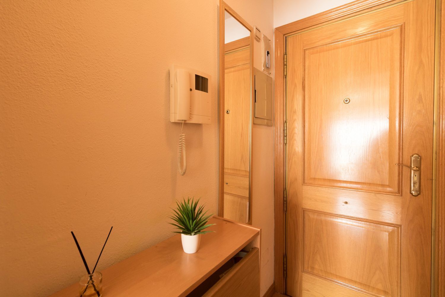 Pisos-Alquiler-Madrid-1793339-Foto-4