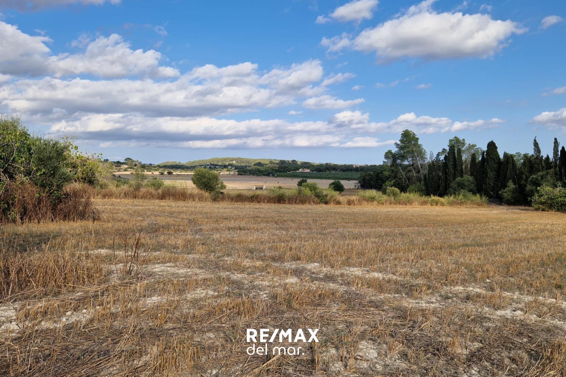 Fincas y solares-Venta-1829312
