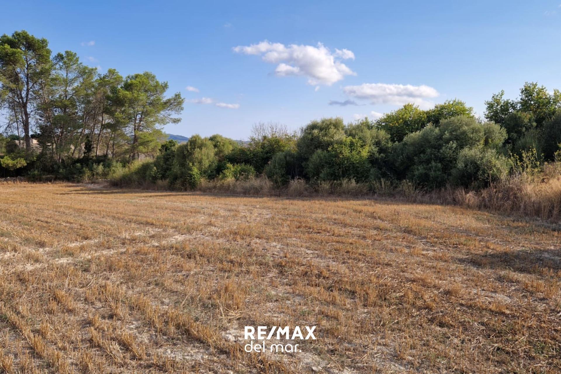 Fincas y solares-Venta-MontuÃ¯ri-1829312-Foto-4