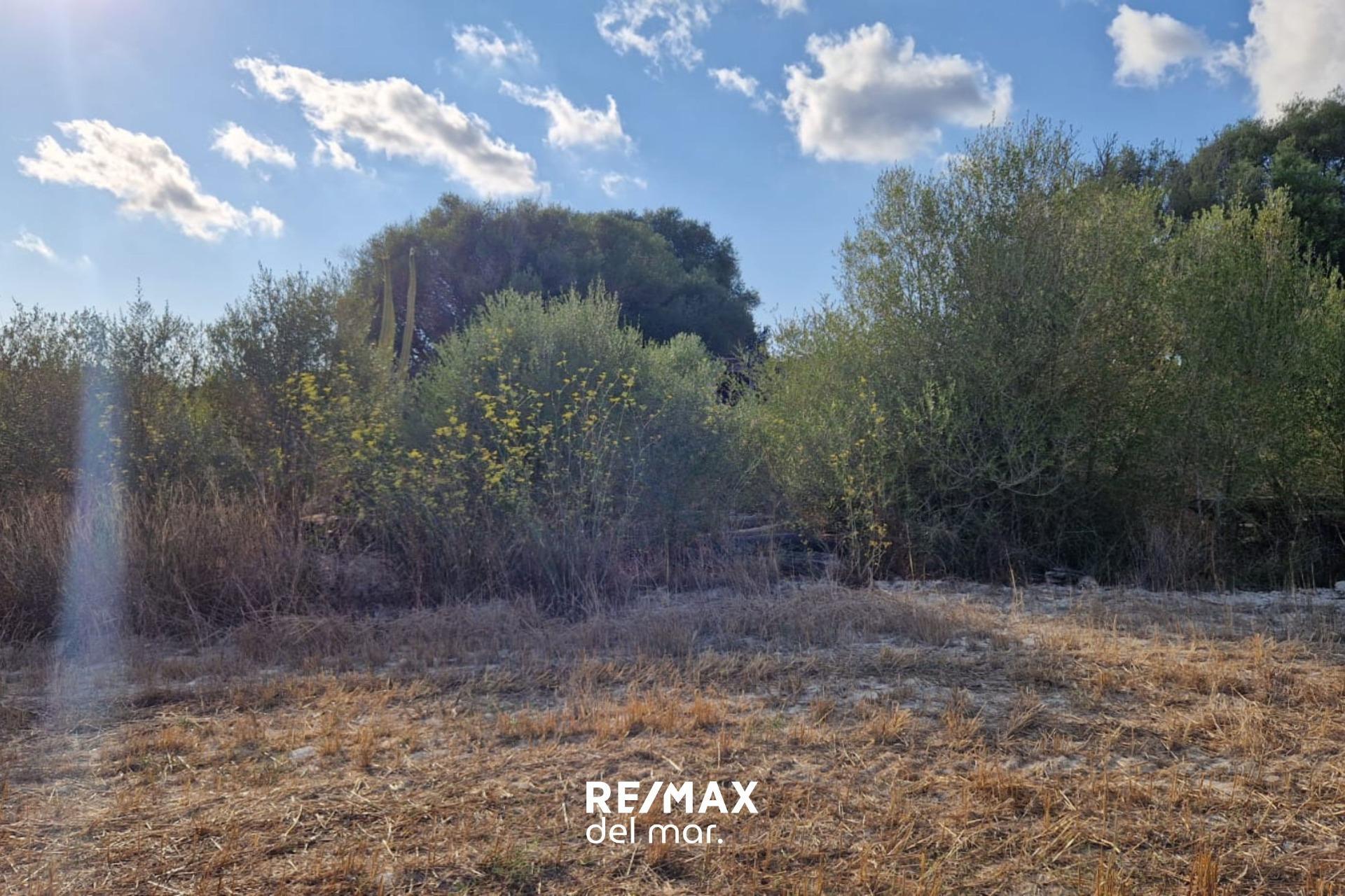 Fincas y solares-Venta-MontuÃ¯ri-1829312-Foto-5