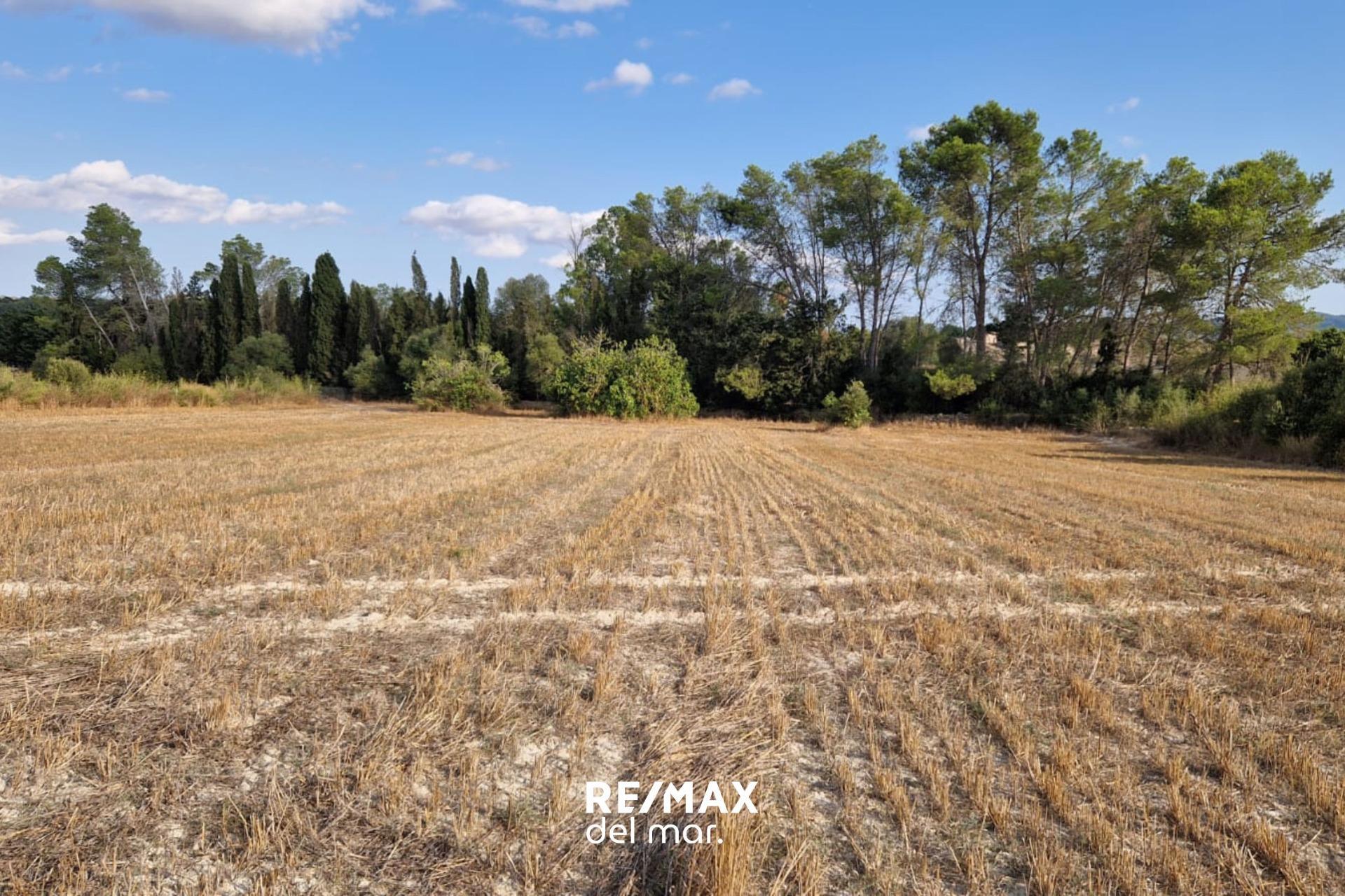 Fincas y solares-Venta-MontuÃ¯ri-1829312-Foto-3