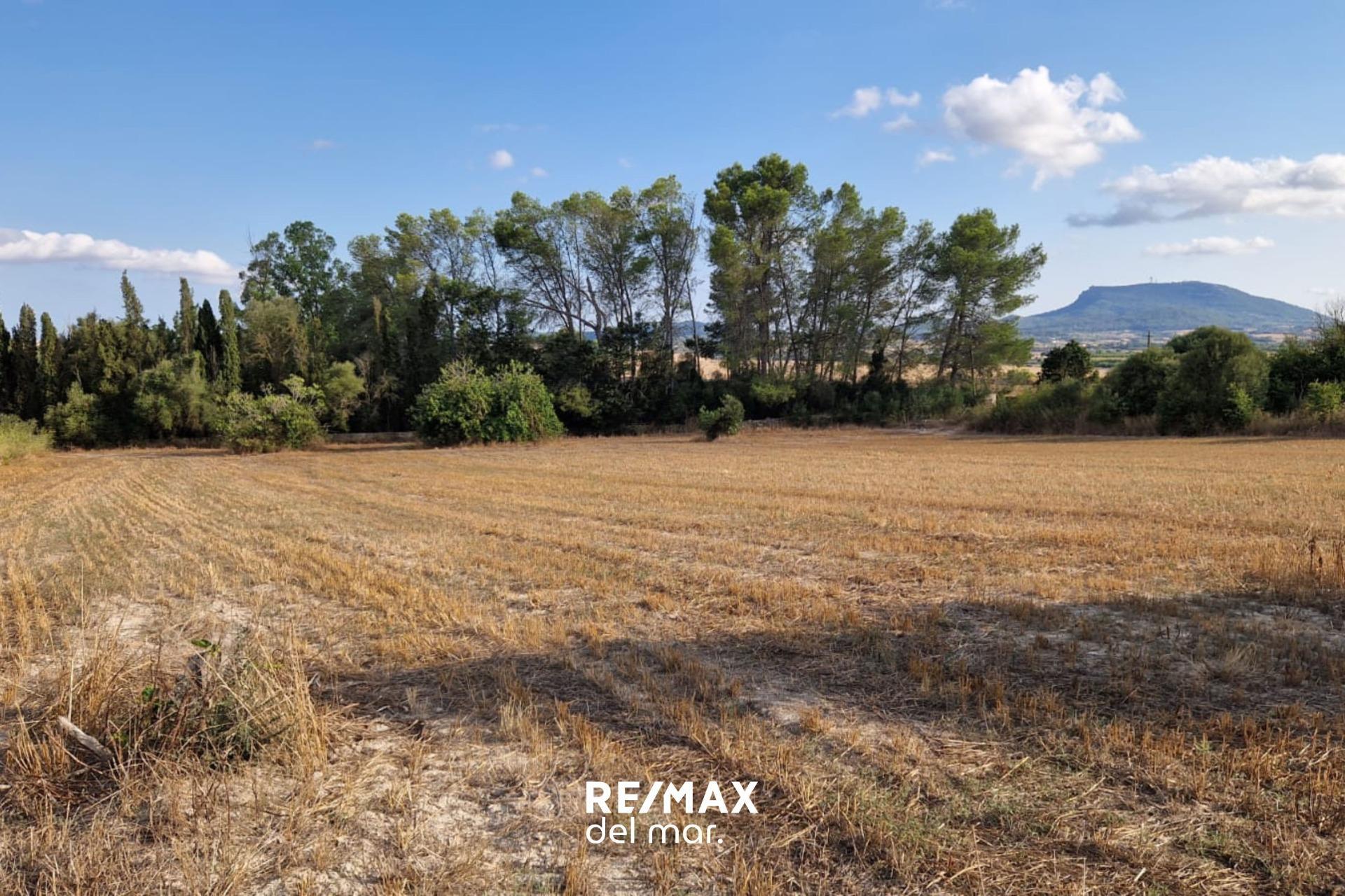 Fincas y solares-Venta-MontuÃ¯ri-1829312-Foto-7