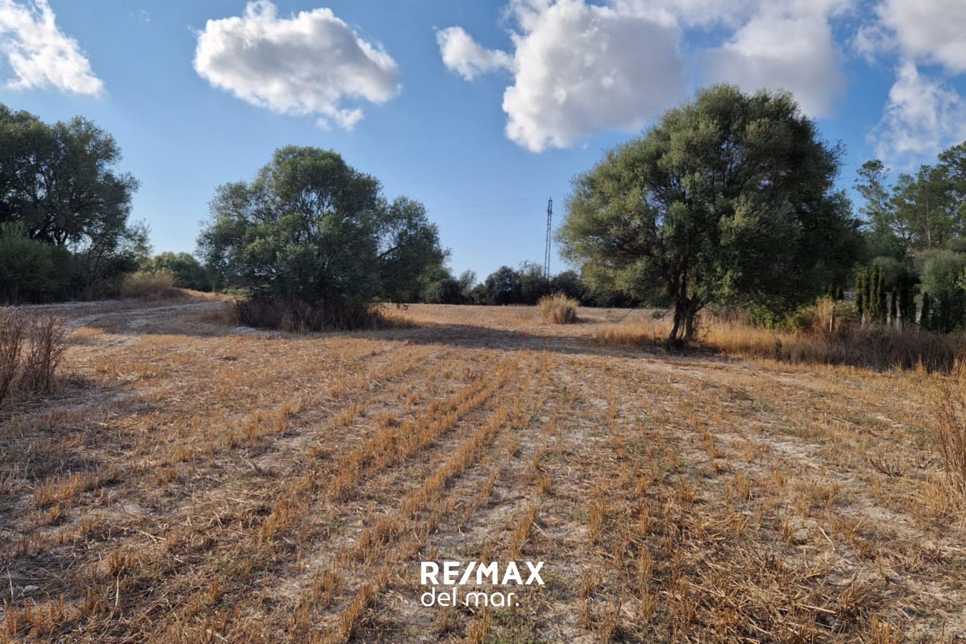 Fincas y solares-Venta-MontuÃ¯ri-1829312-Foto-8
