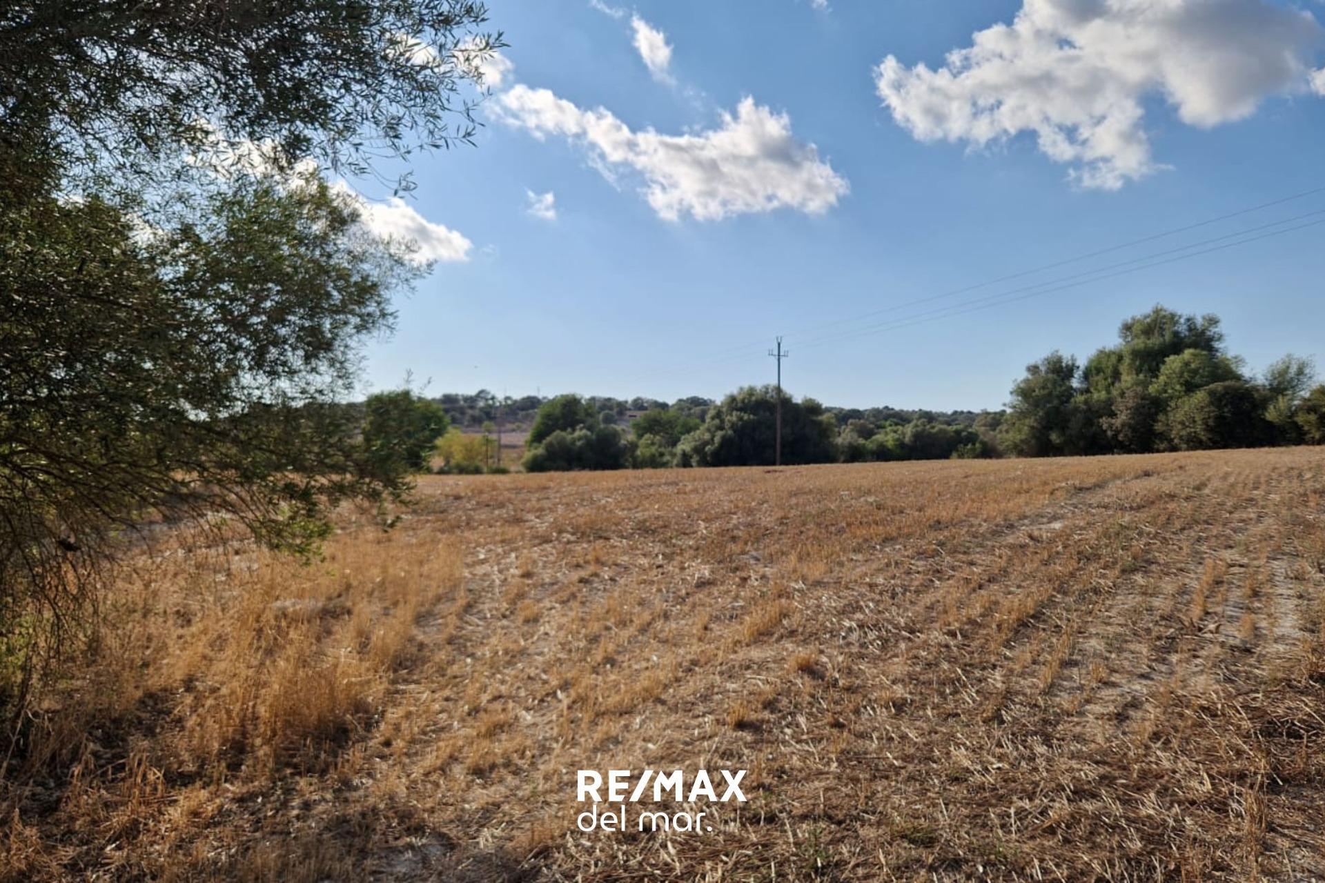 Fincas y solares-Venta-MontuÃ¯ri-1829312-Foto-9