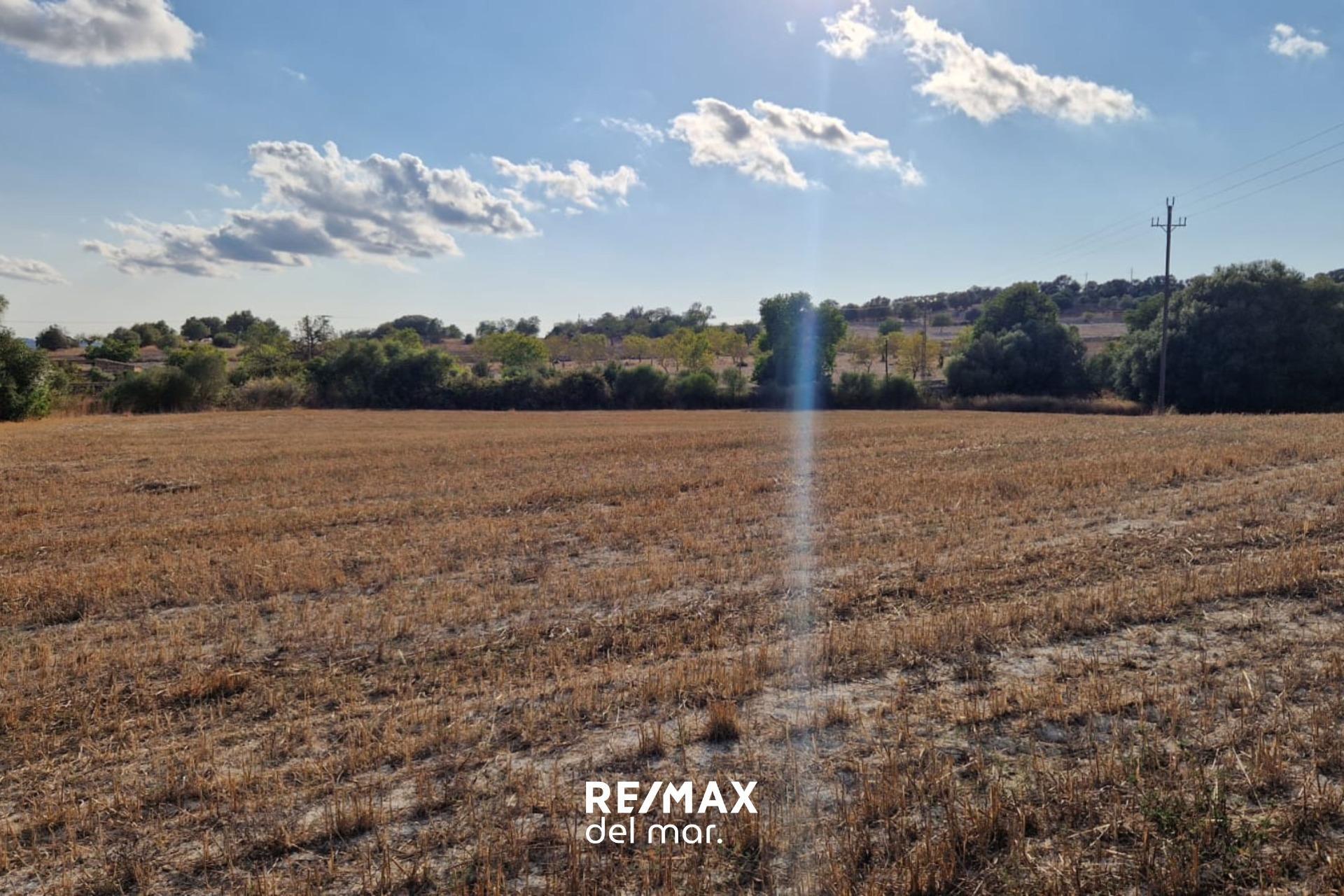 Fincas y solares-Venta-MontuÃ¯ri-1829312-Foto-11