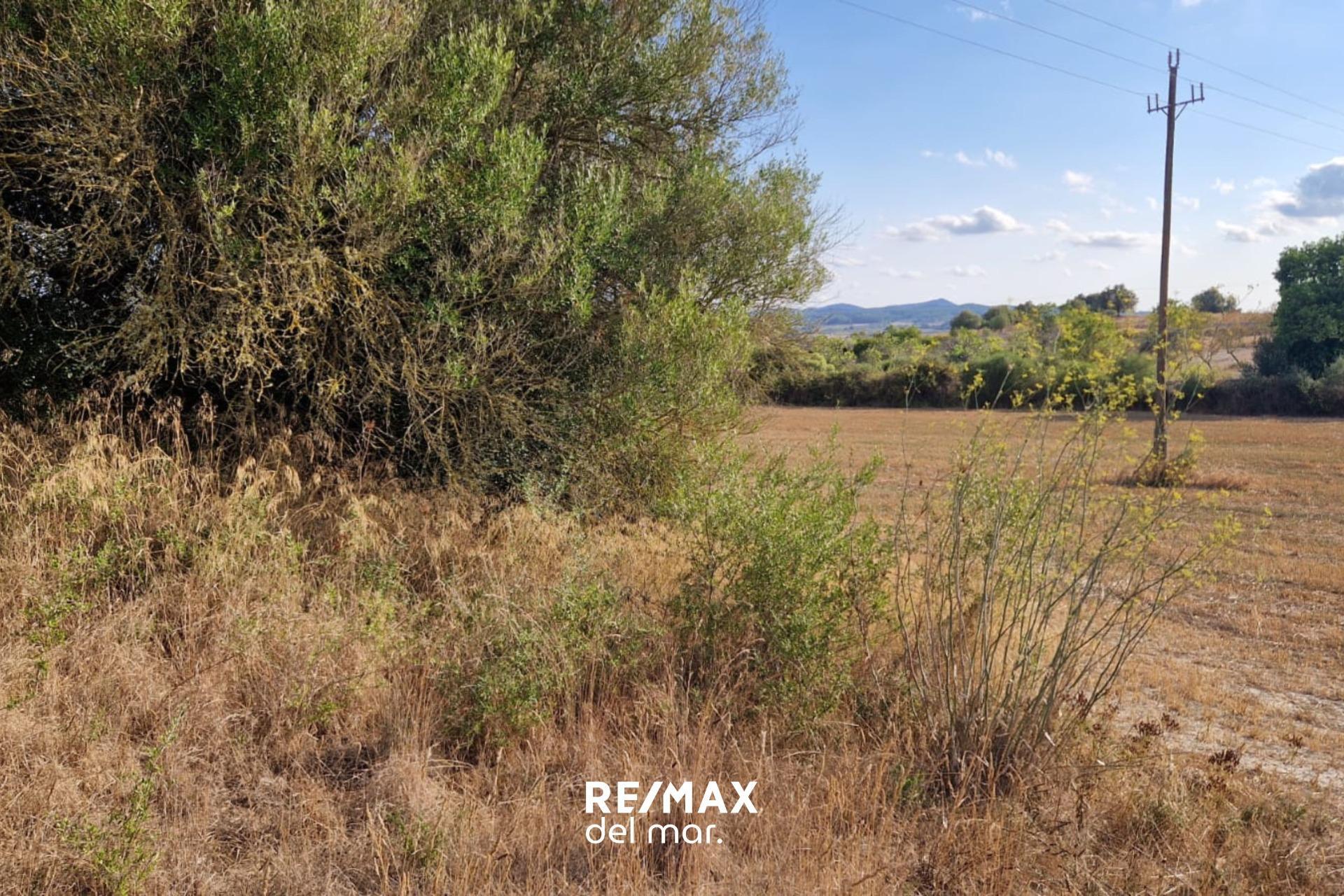 Fincas y solares-Venta-MontuÃ¯ri-1829312-Foto-16