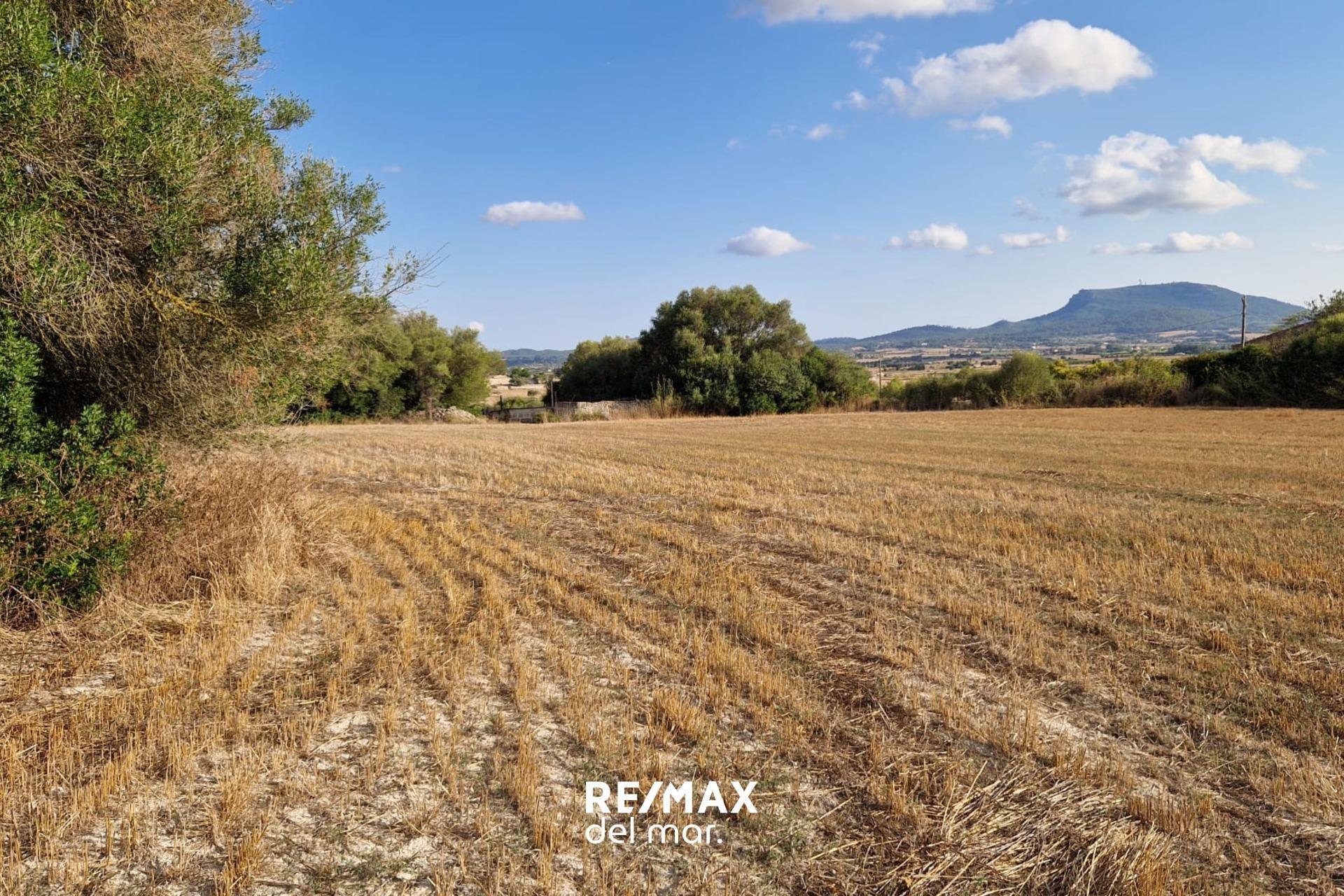 Fincas y solares-Venta-MontuÃ¯ri-1829312-Foto-14