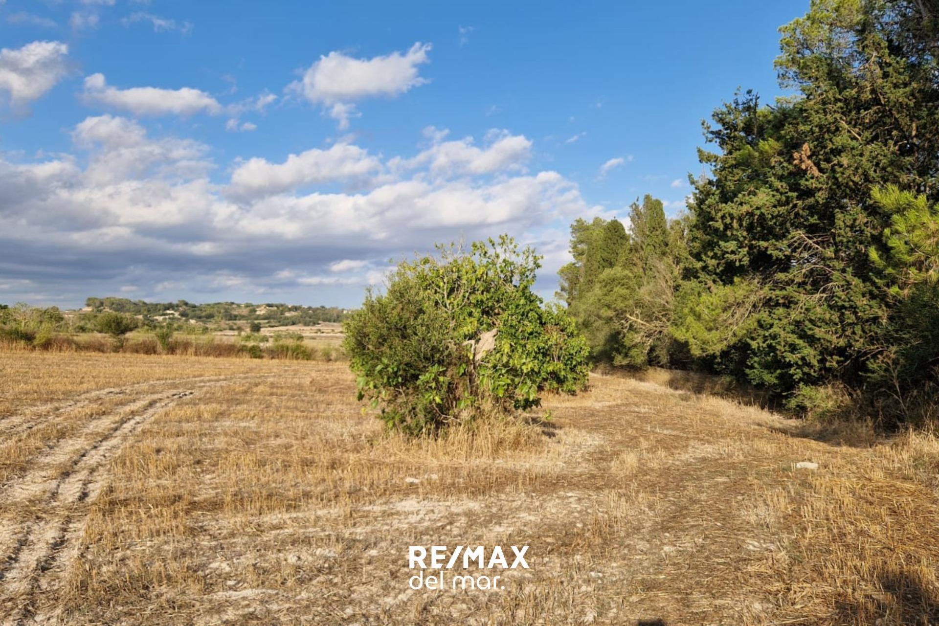 Fincas y solares-Venta-MontuÃ¯ri-1829312-Foto-17