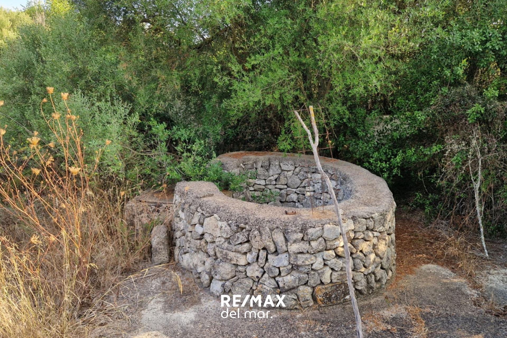 Fincas y solares-Venta-MontuÃ¯ri-1829312-Foto-18