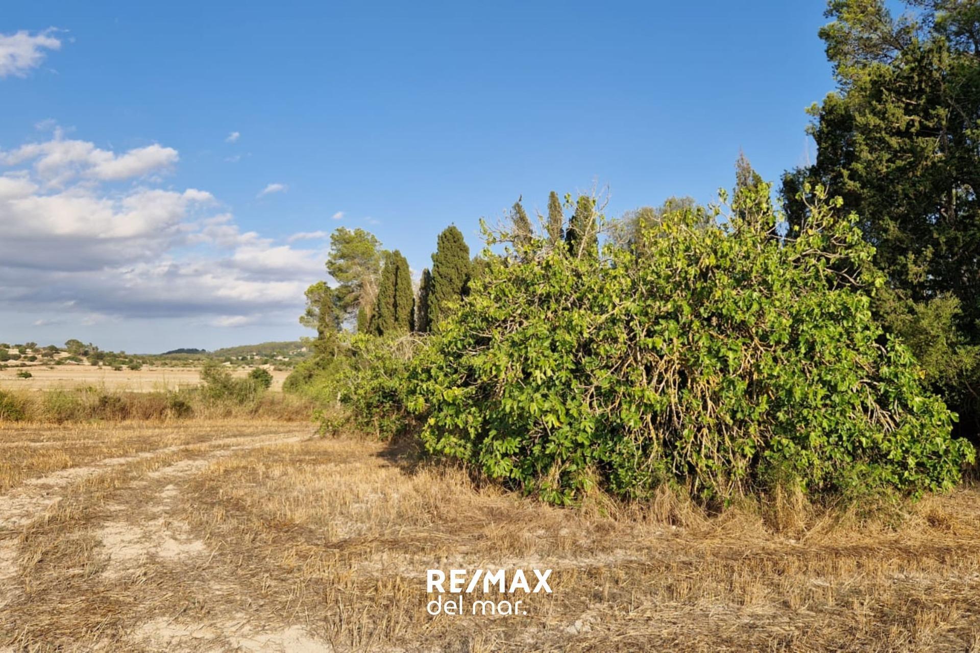 Fincas y solares-Venta-MontuÃ¯ri-1829312-Foto-20