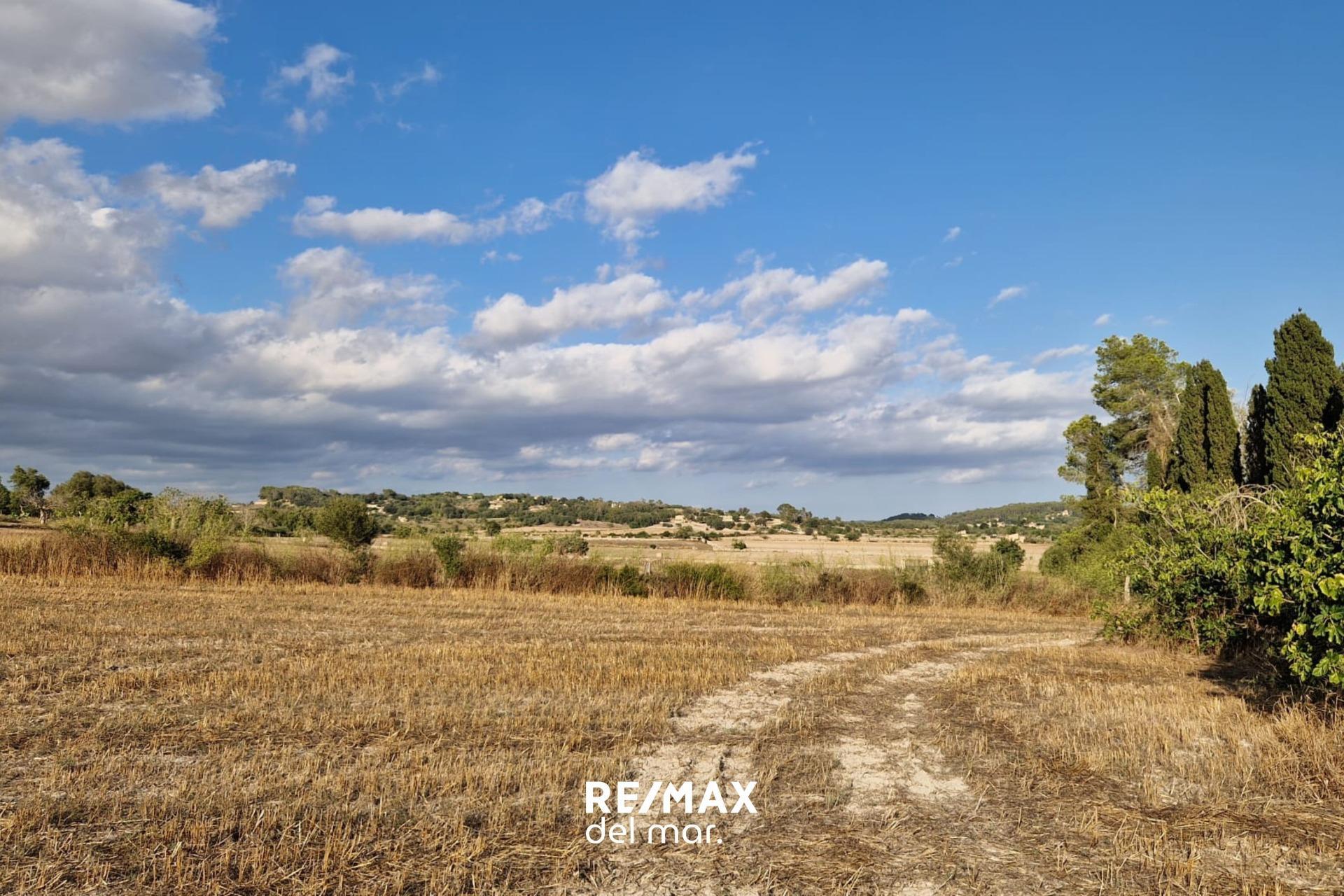 Fincas y solares-Venta-MontuÃ¯ri-1829312-Foto-19