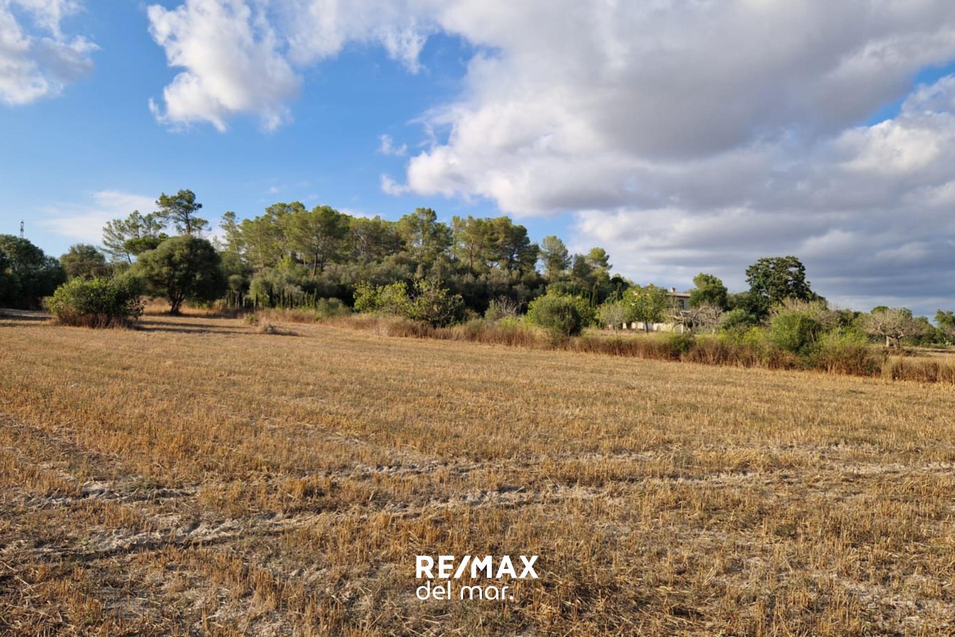 Fincas y solares-Venta-MontuÃ¯ri-1829312-Foto-21