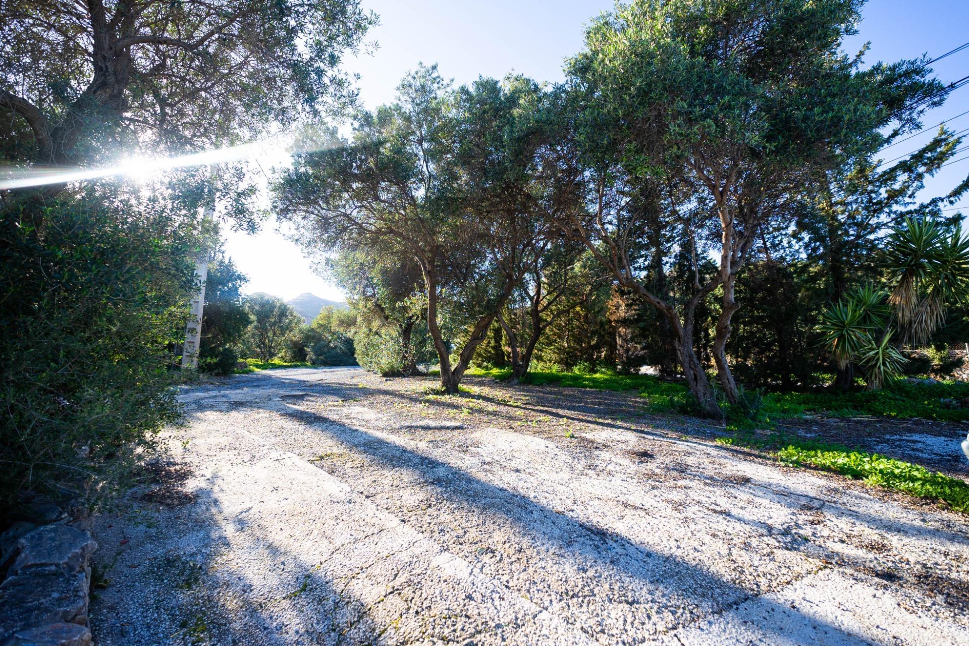 Casas o chalets-Venta-VÃ©lez-MÃ¡laga-1524136-Foto-3
