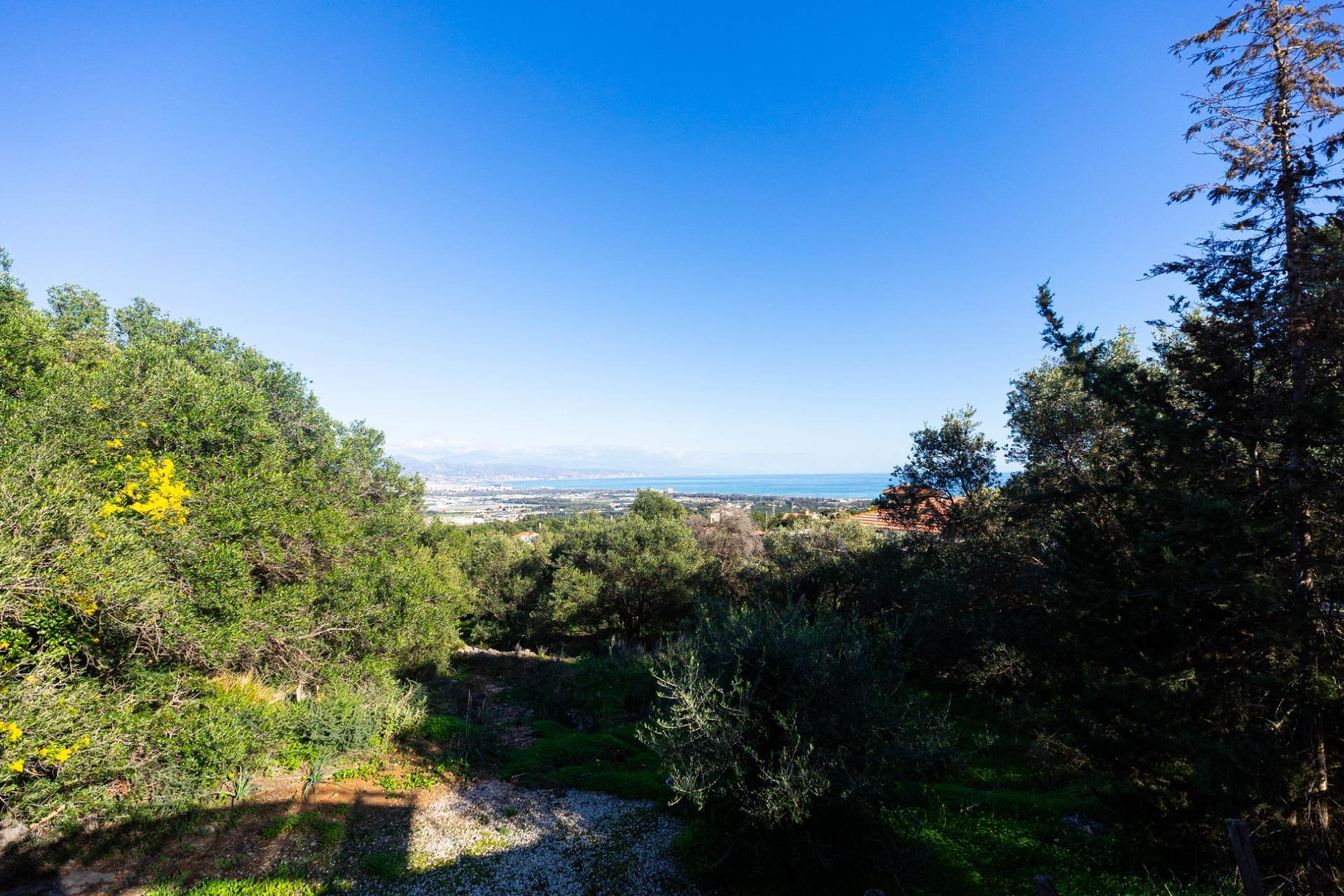 Casas o chalets-Venta-VÃ©lez-MÃ¡laga-1524136-Foto-56