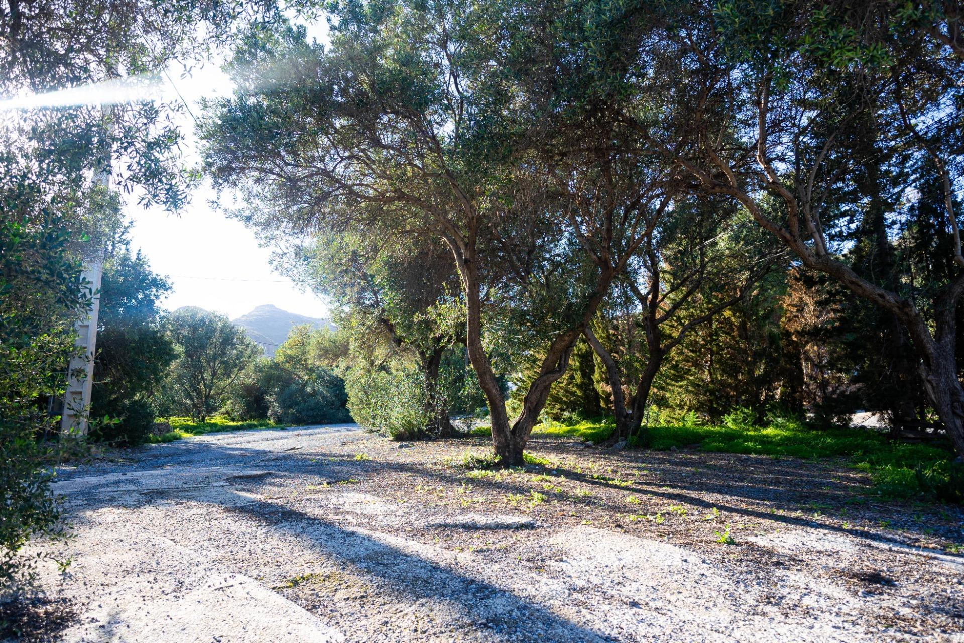 Casas o chalets-Venta-VÃ©lez-MÃ¡laga-1524136-Foto-61