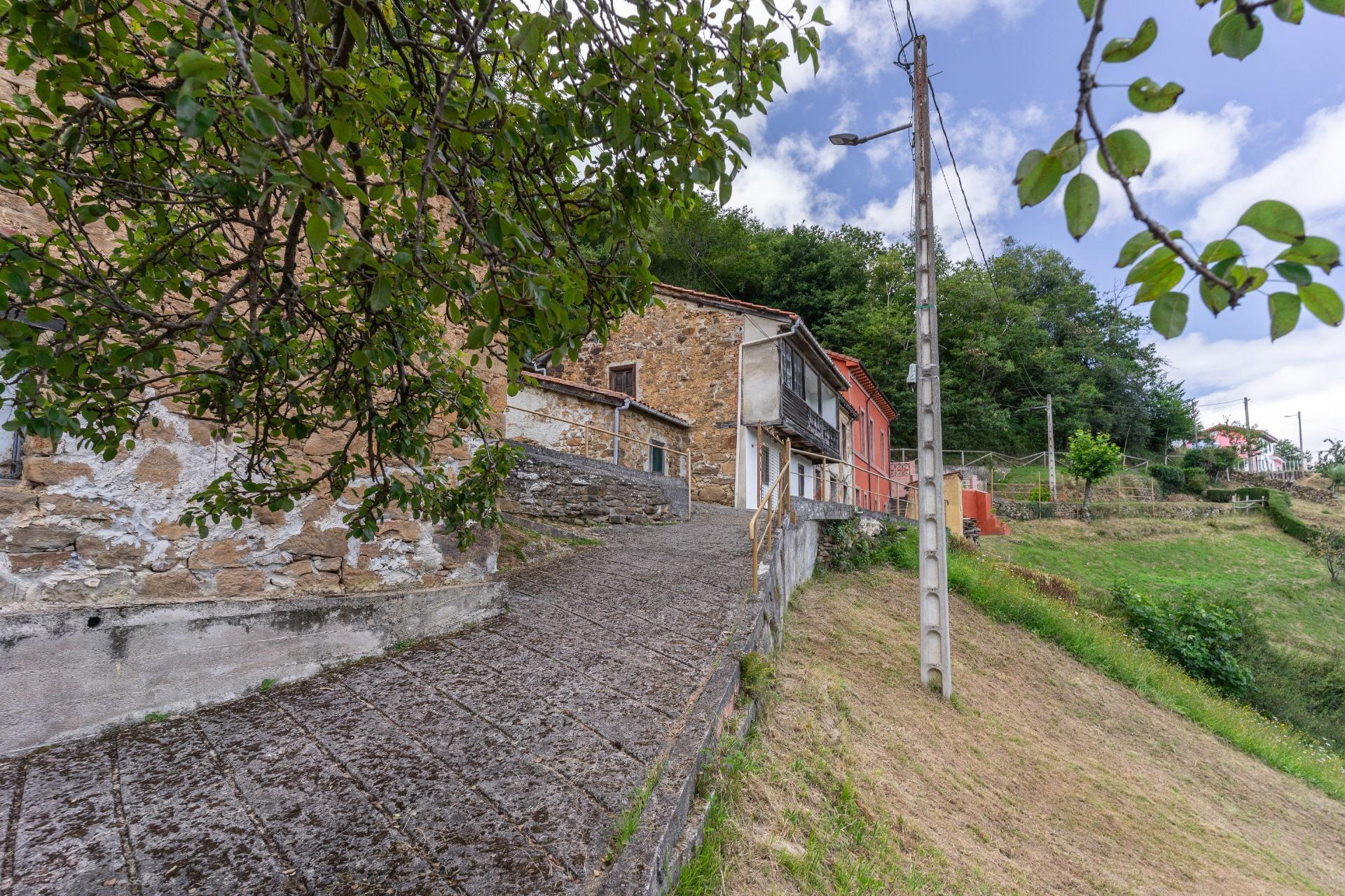 Casas o chalets-Venta-San MartÃ­n del Rey Aurelio-1829303-Foto-4