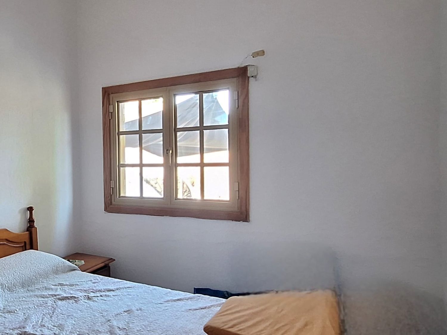 Casas o chalets-Venta-Santa BrÃ­gida-1767072-Foto-8