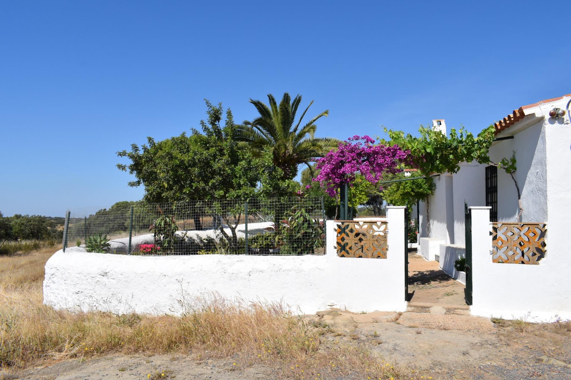 Pisos-Venta-Villanueva de los Castillejos-1731018-Foto-3