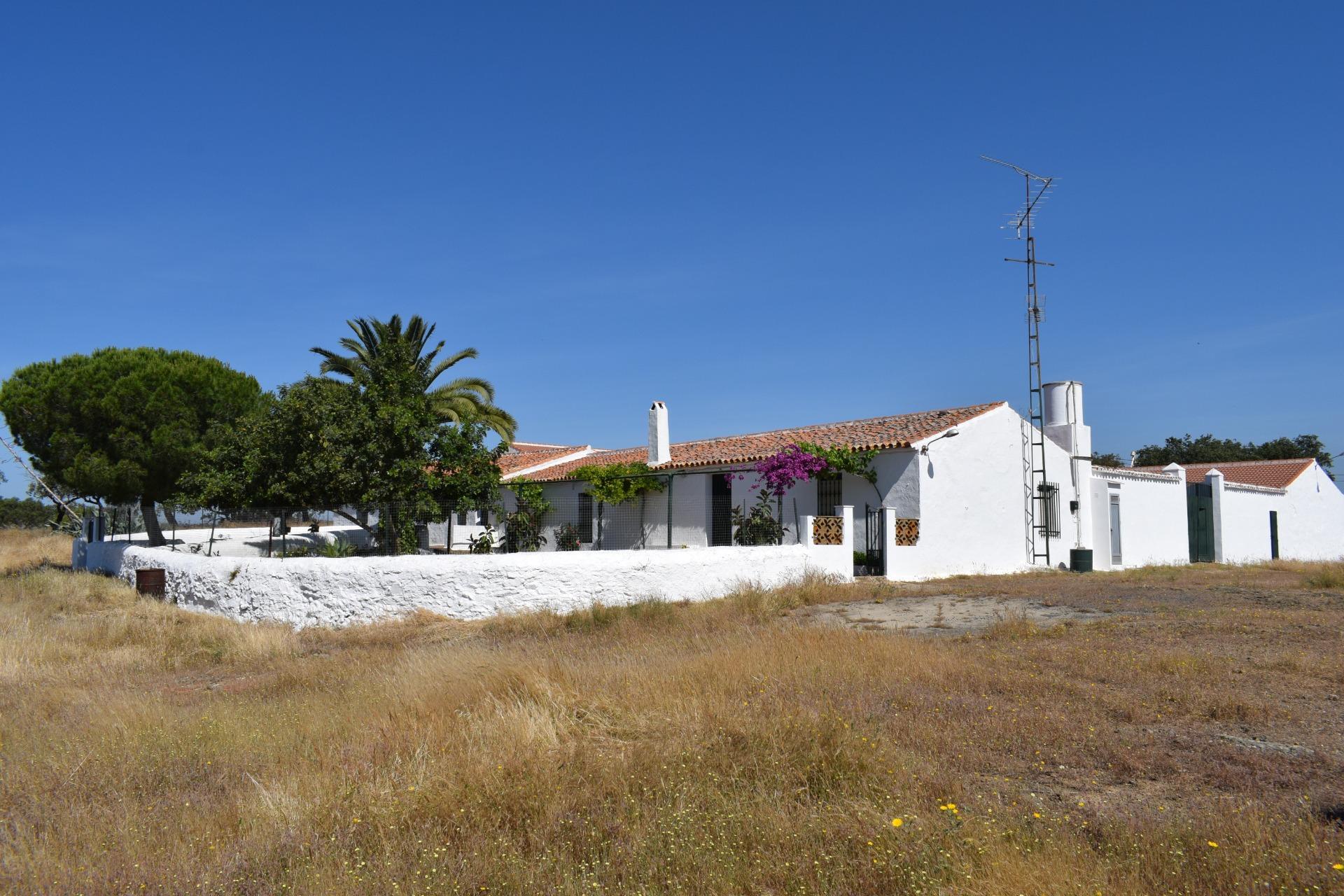 Pisos-Venta-Villanueva de los Castillejos-1731018-Foto-2