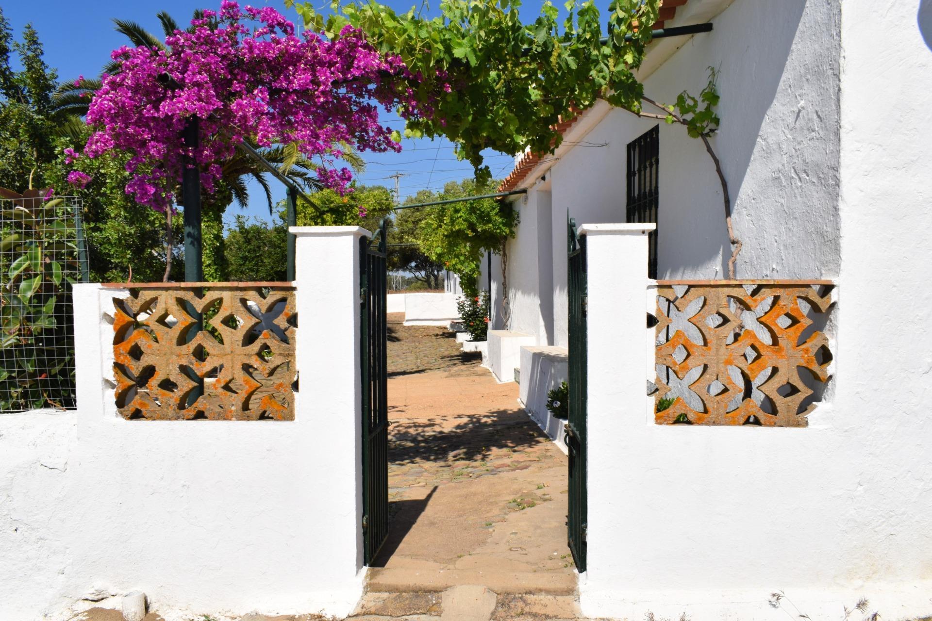 Pisos-Venta-Villanueva de los Castillejos-1731018-Foto-4