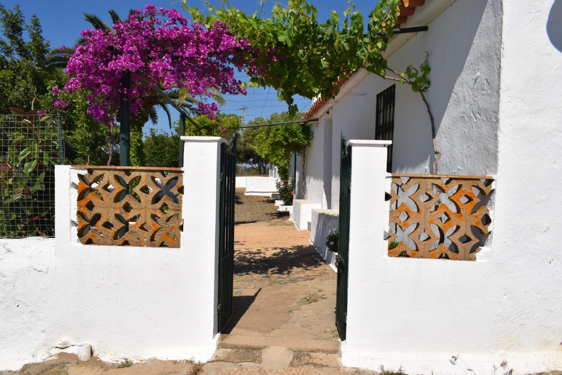 Pisos-Venta-Villanueva de los Castillejos-1731018-Foto-7