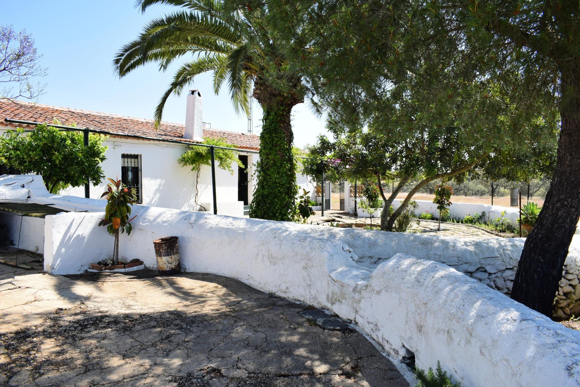 Pisos-Venta-Villanueva de los Castillejos-1731018-Foto-6