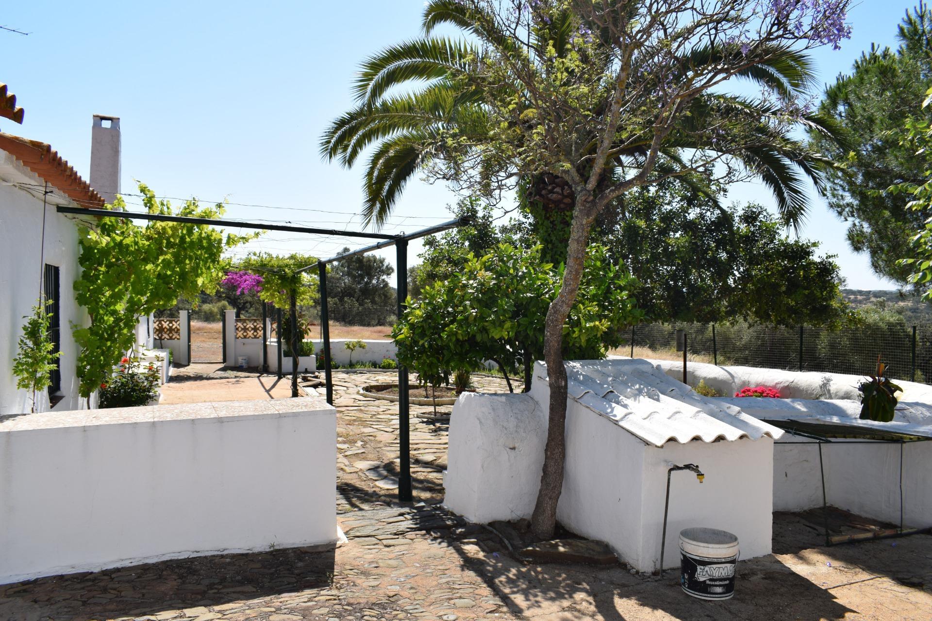 Pisos-Venta-Villanueva de los Castillejos-1731018-Foto-14