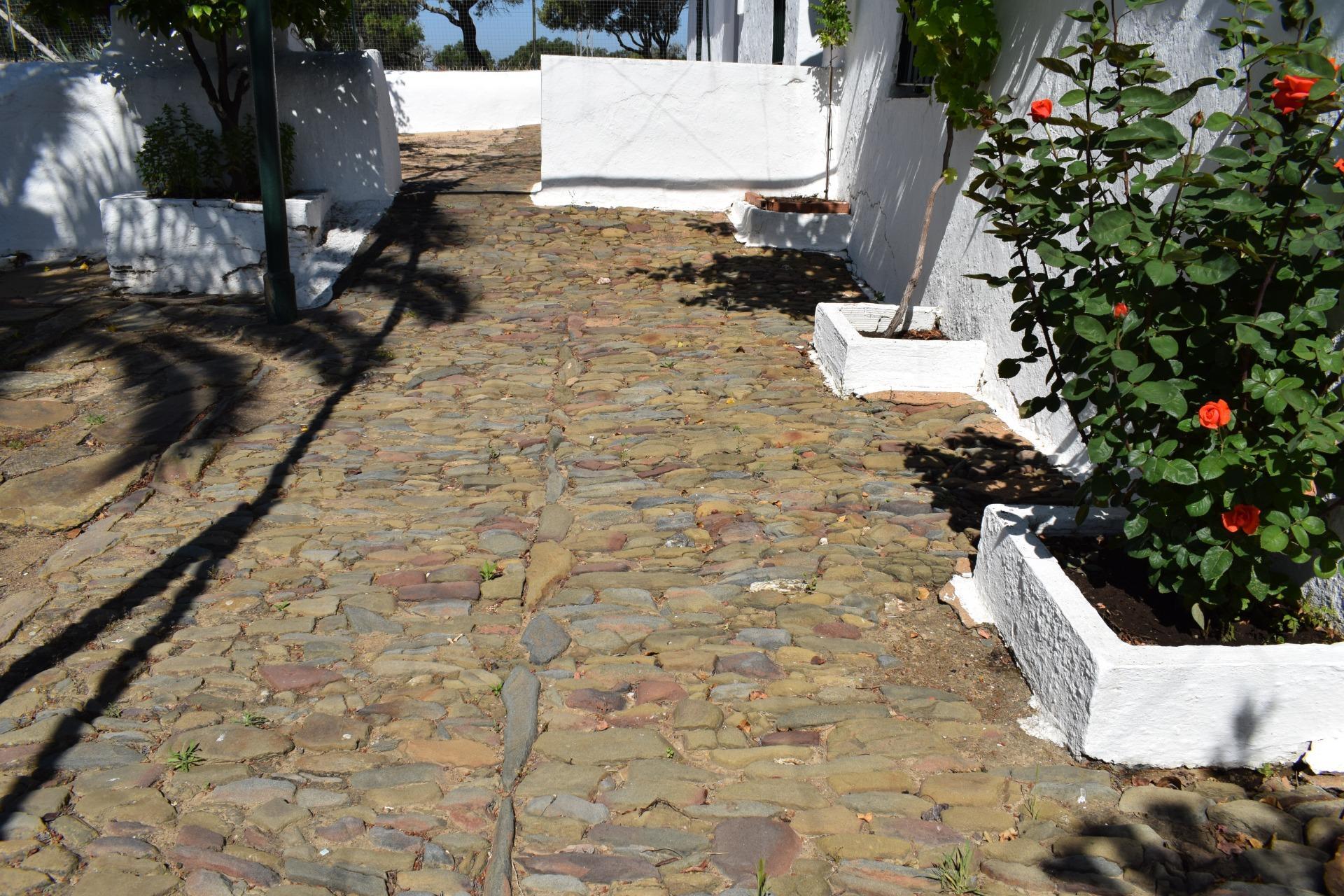Pisos-Venta-Villanueva de los Castillejos-1731018-Foto-11