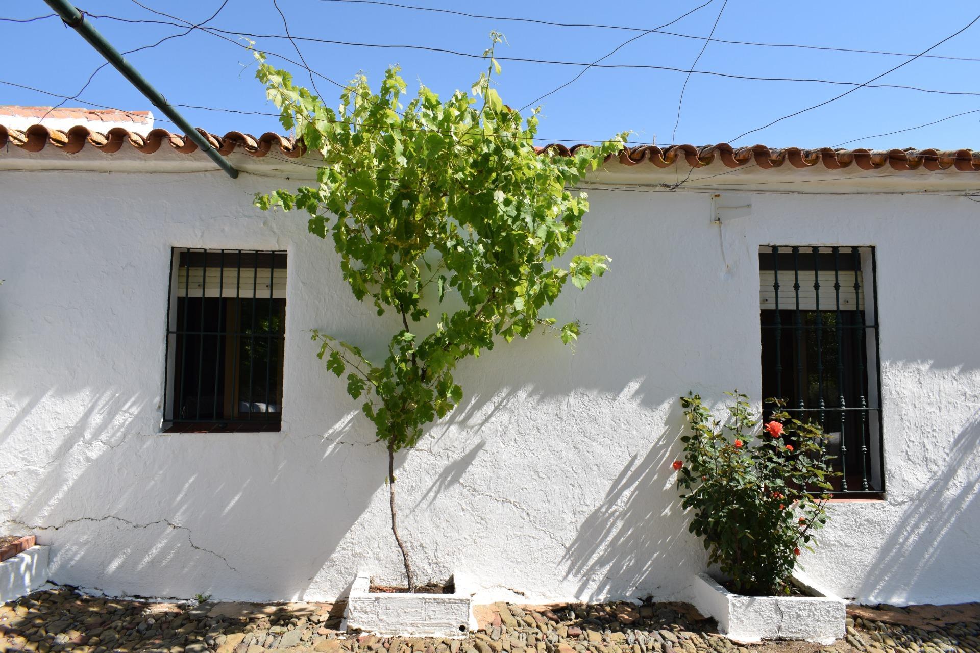 Pisos-Venta-Villanueva de los Castillejos-1731018-Foto-20