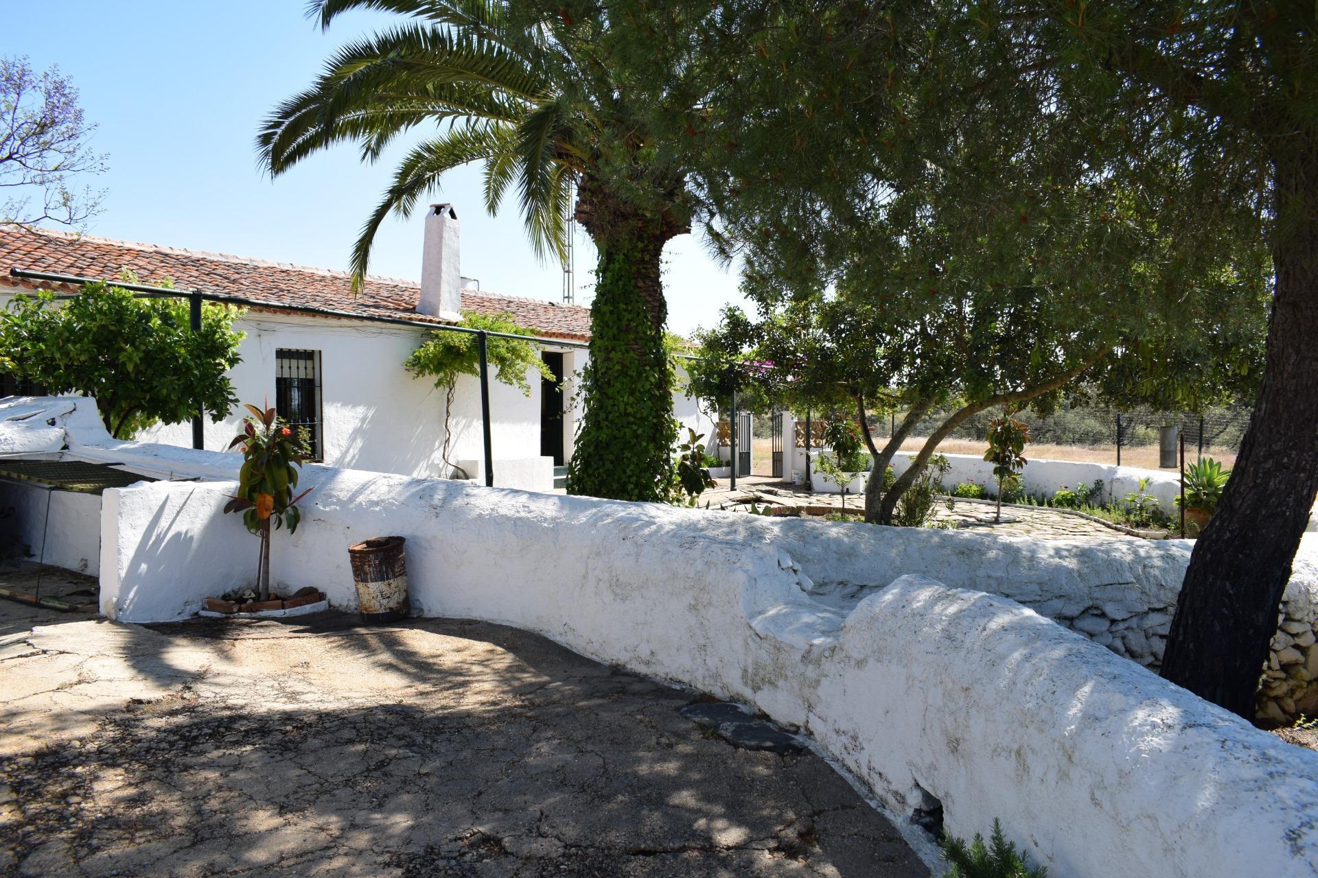 Pisos-Venta-Villanueva de los Castillejos-1731018-Foto-19