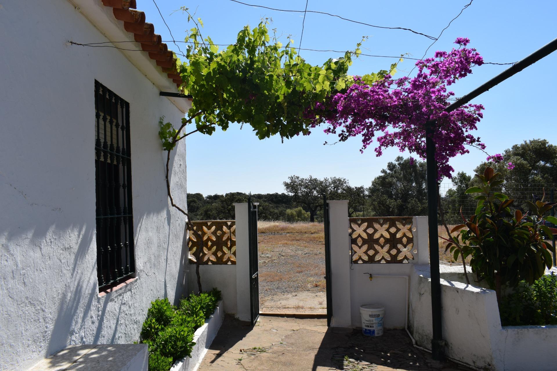 Pisos-Venta-Villanueva de los Castillejos-1731018-Foto-22