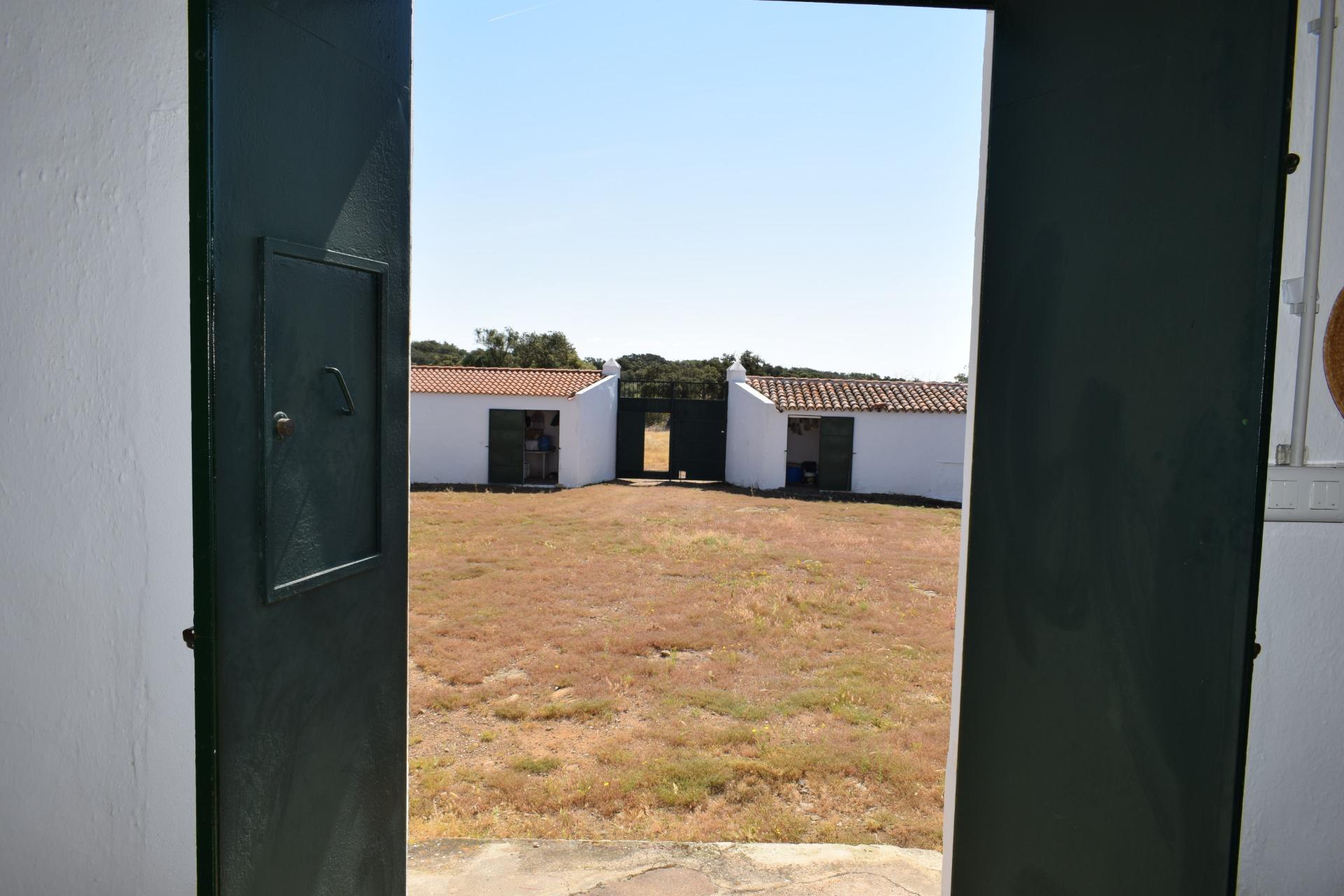 Pisos-Venta-Villanueva de los Castillejos-1731018-Foto-59