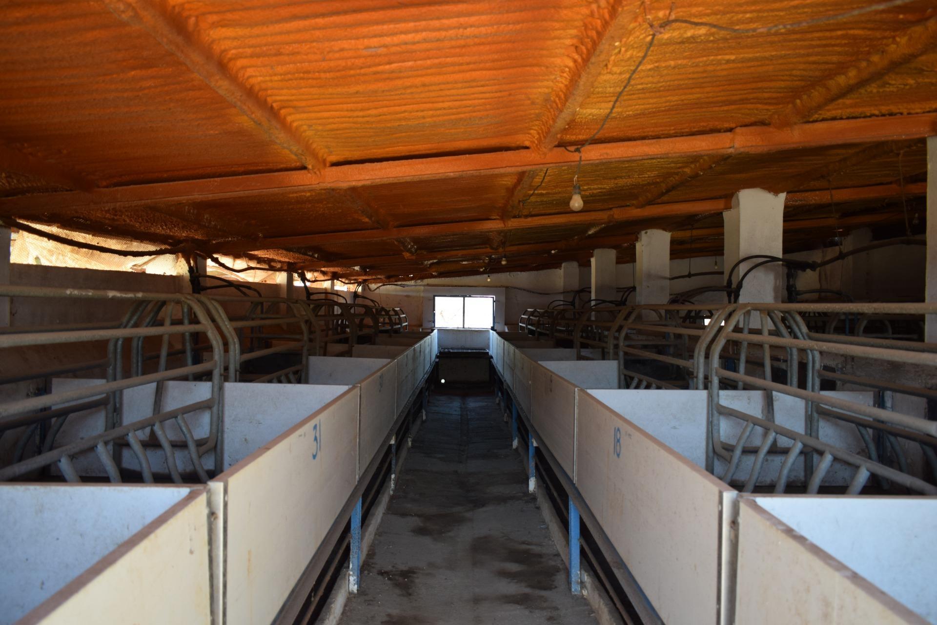 Pisos-Venta-Villanueva de los Castillejos-1731018-Foto-90