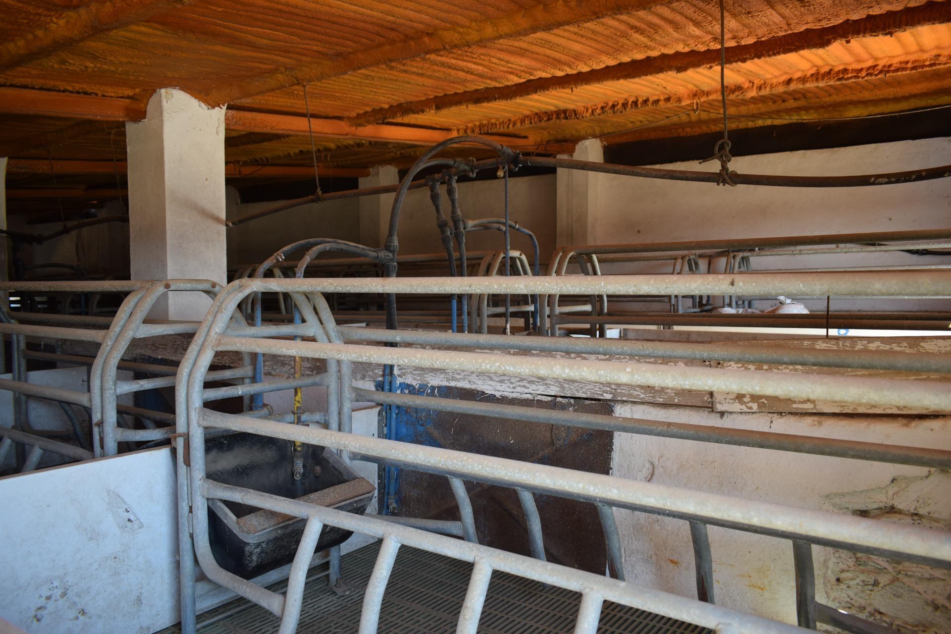 Pisos-Venta-Villanueva de los Castillejos-1731018-Foto-92