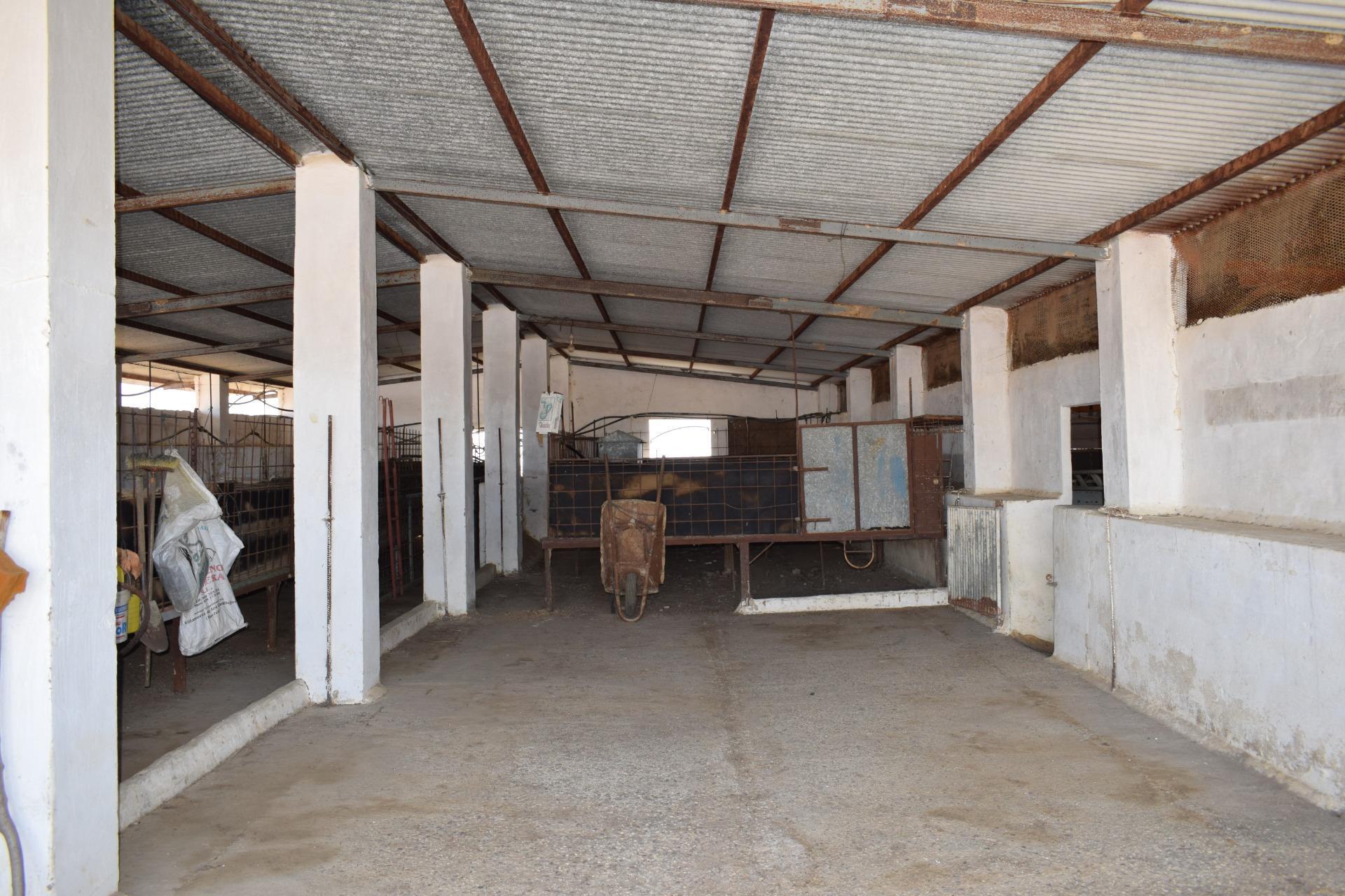 Pisos-Venta-Villanueva de los Castillejos-1731018-Foto-99