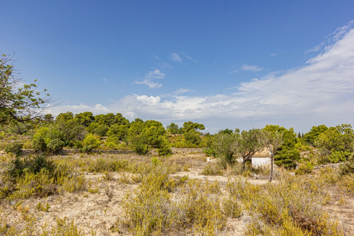 Fincas y solares-Venta-Monserrat - Montserrat-492198