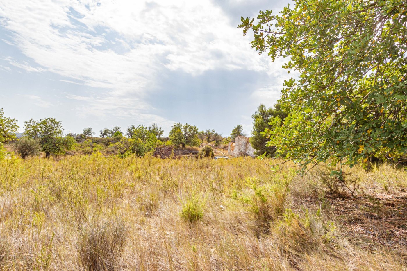 Fincas y solares-Venta-Monserrat - Montserrat-492198-Foto-3