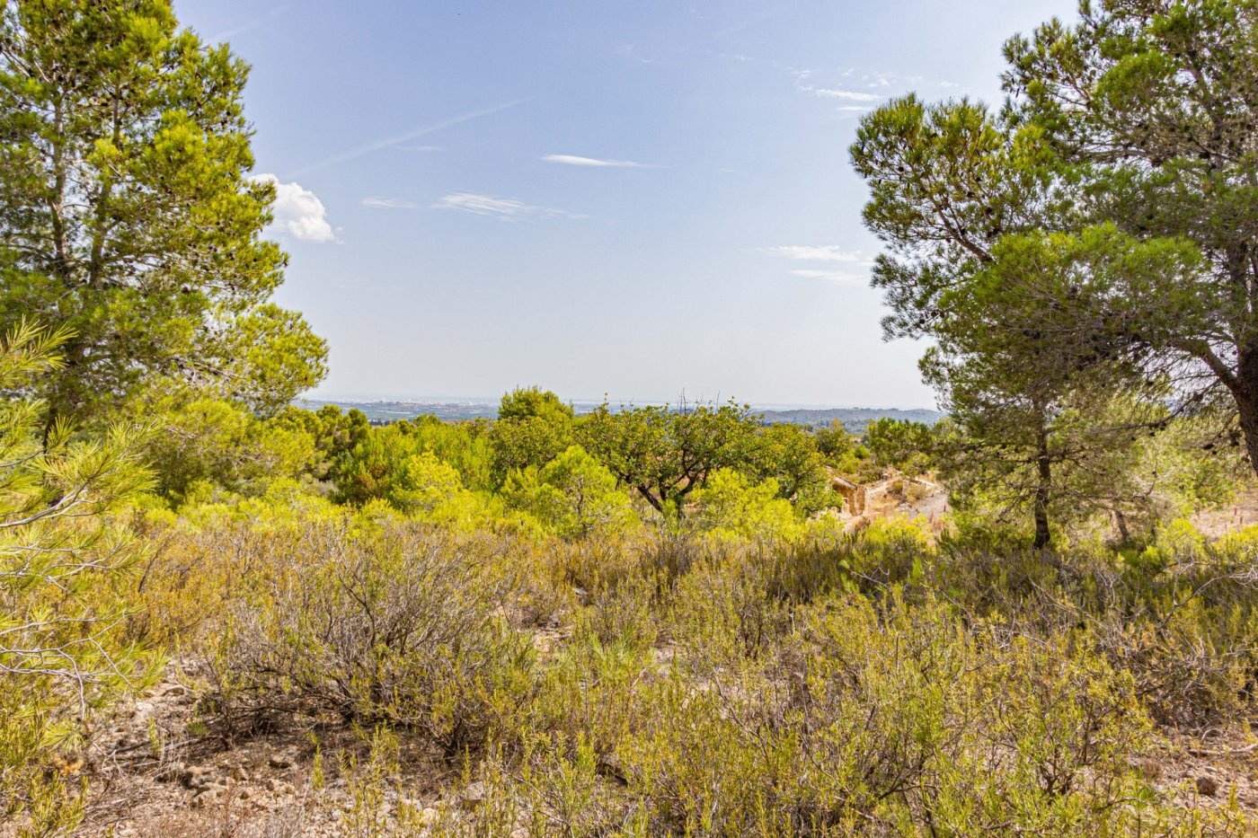 Fincas y solares-Venta-Monserrat - Montserrat-492198-Foto-4