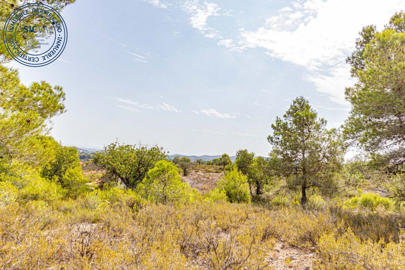 Fincas y solares-Venta-Monserrat - Montserrat-492198-Foto-6