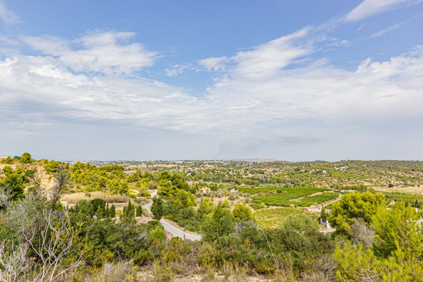 Fincas y solares-Venta-Monserrat - Montserrat-492198-Foto-5