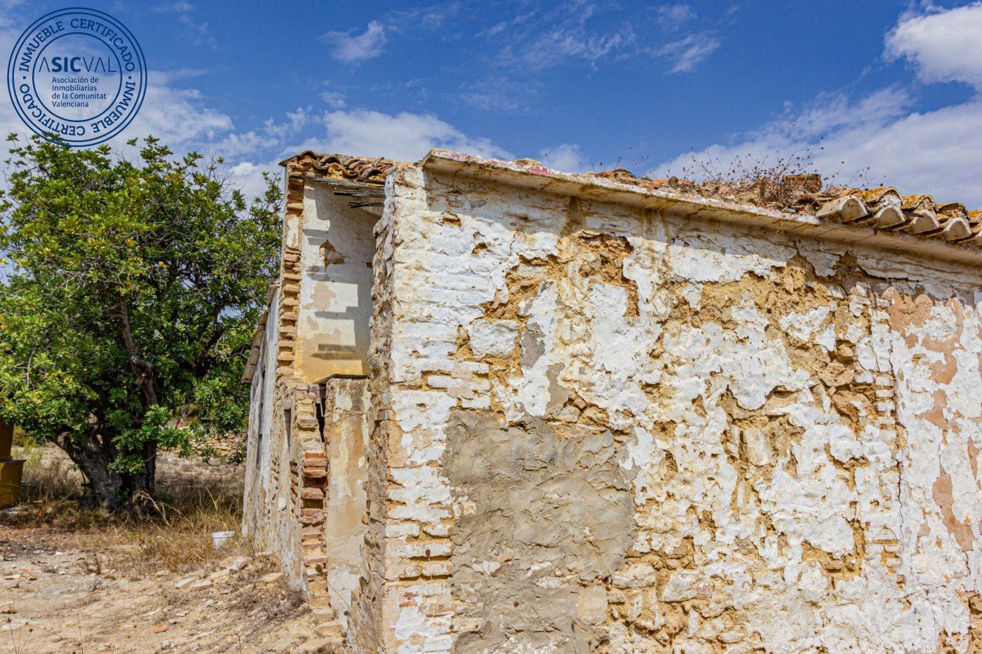 Fincas y solares-Venta-Monserrat - Montserrat-492198-Foto-9