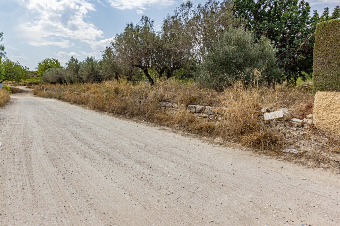 Fincas y solares-Venta-Monserrat - Montserrat-492198-Foto-14