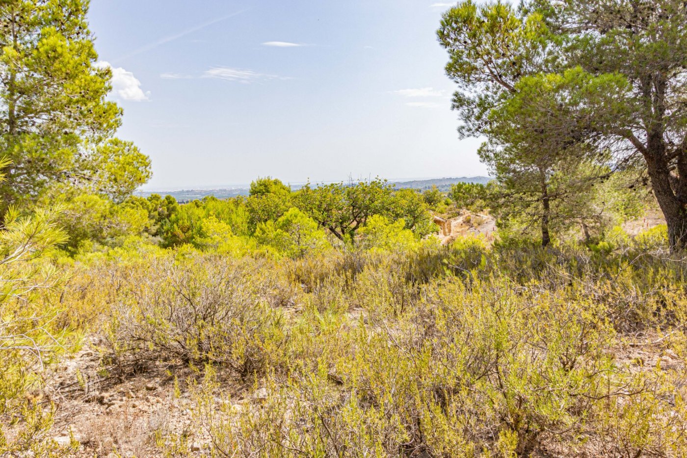 Fincas y solares-Venta-Monserrat - Montserrat-492198-Foto-16